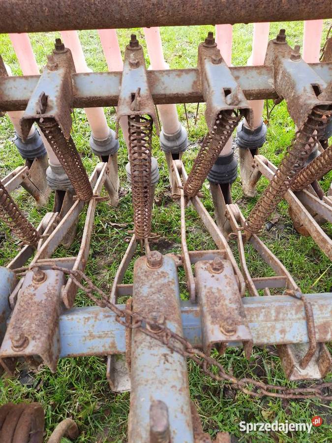 Siewnik Poznaniak Wysokie