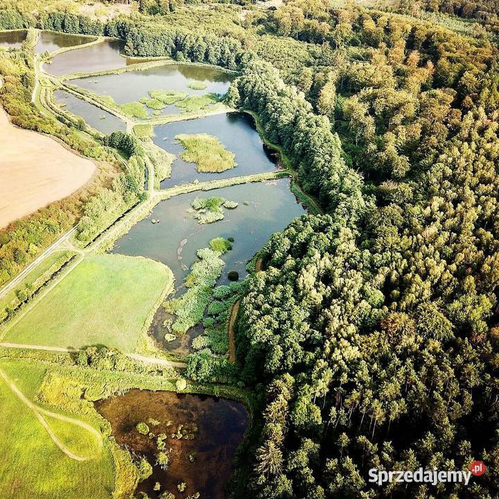 Na sprzedaż 235 ha prywatnej enklawy ze stawami 234000m2 wielkopolskie Róża Wielka