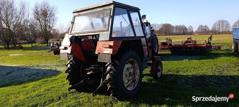 Zetor 4911 wielkopolskie Chełst