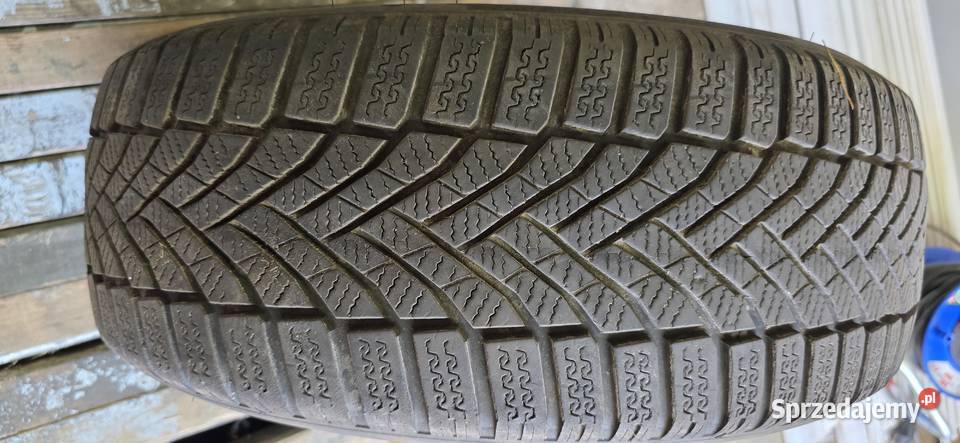 Opony zimowe Falken 20555R16 16cale wielkopolskie