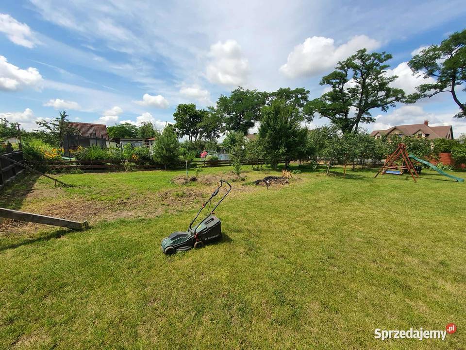 Usługi ogrodnicze wertykulacja aeracja trawnika Krapkowice