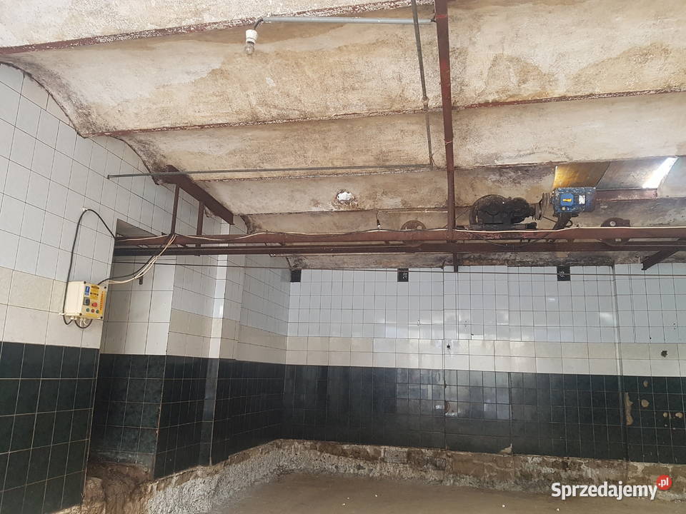 Wygarniacz obornika świętokrzyskie Bogoria