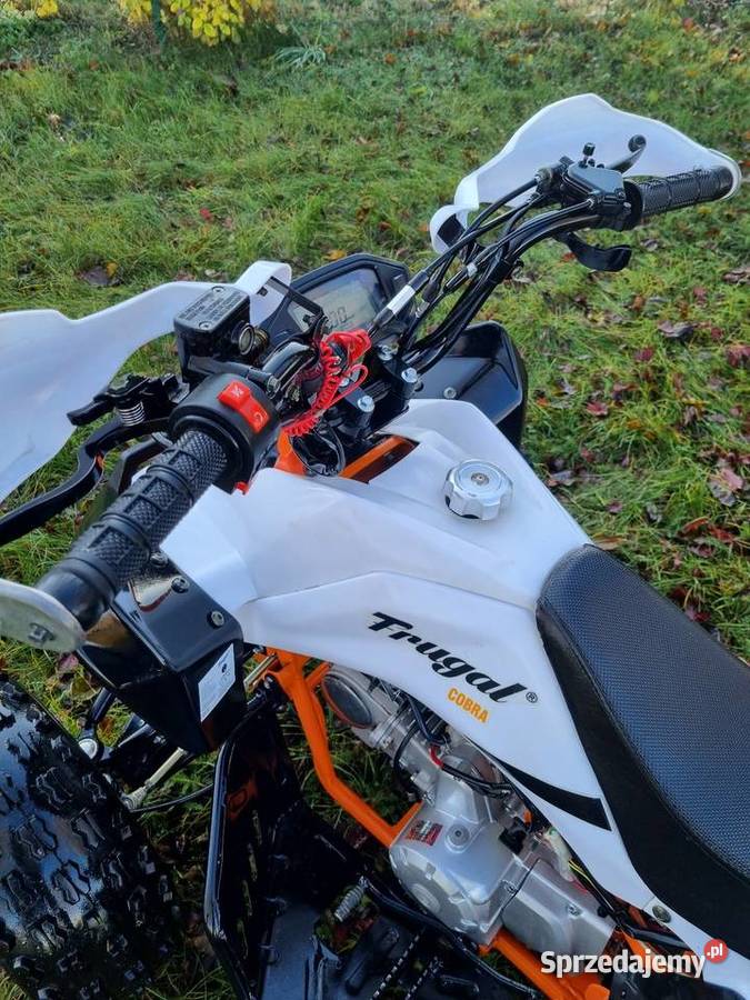Quad Atv Frugal Cobra 125cc 11R Koła 8 Stan Nowy Kruszwica sprzedam