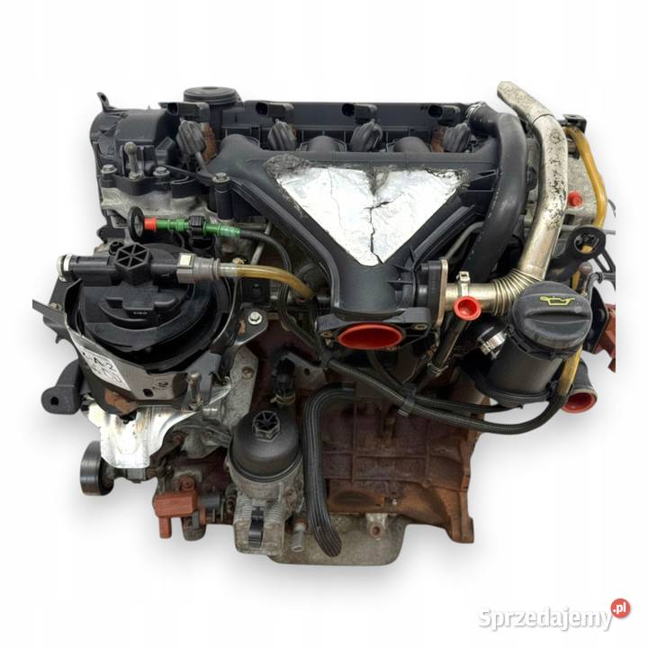 SILNIK G6DD Ford C C Focus MK2 20 TDCI 136 Chełm sprzedam