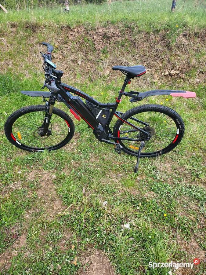Rower elektryczny Ecobike RS