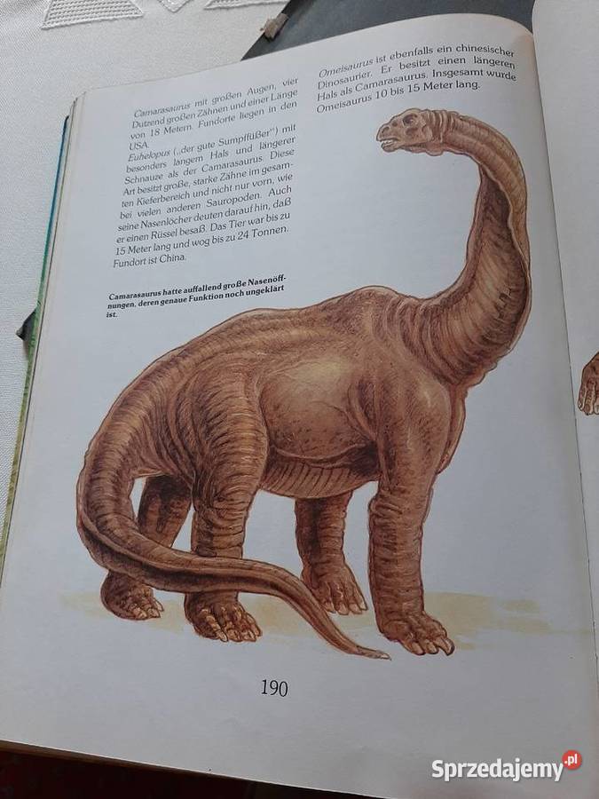 Dinosaurier grosse Buch Stronie Śląskie