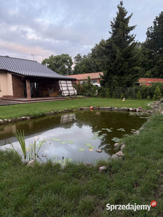 Sprzedam dom bez pośredników wolnostojący Grudziądz