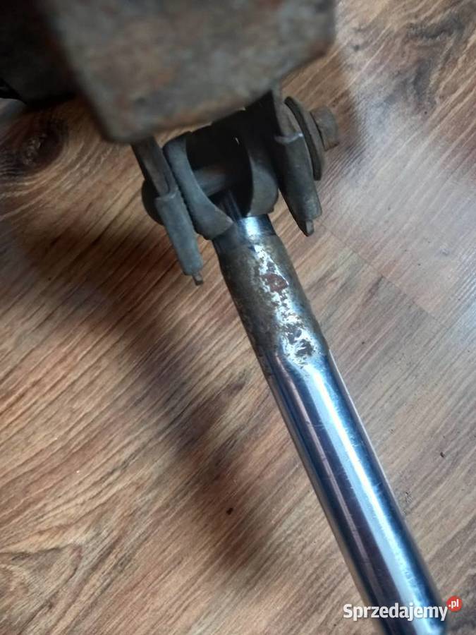 Siedzenie komar sztywniak mazowieckie