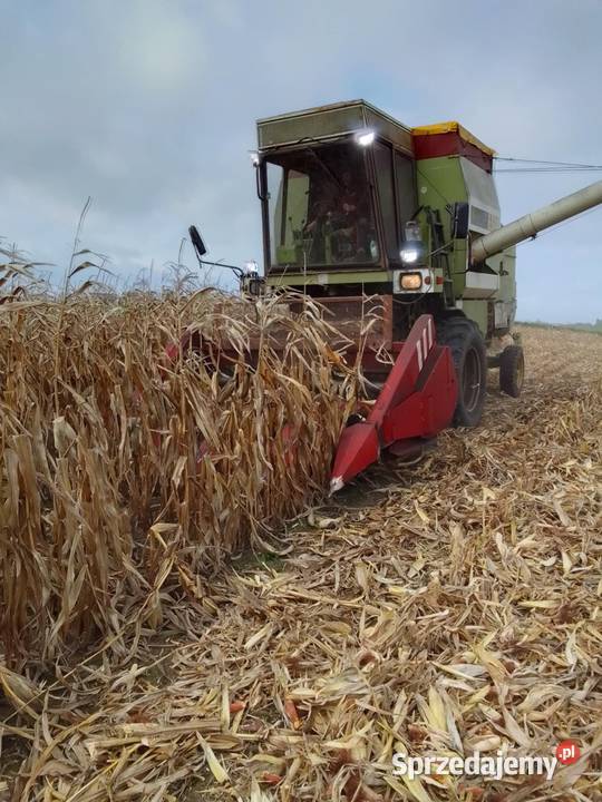 Fortschritt e514 MDW kombajn heder 42m Zbożowe