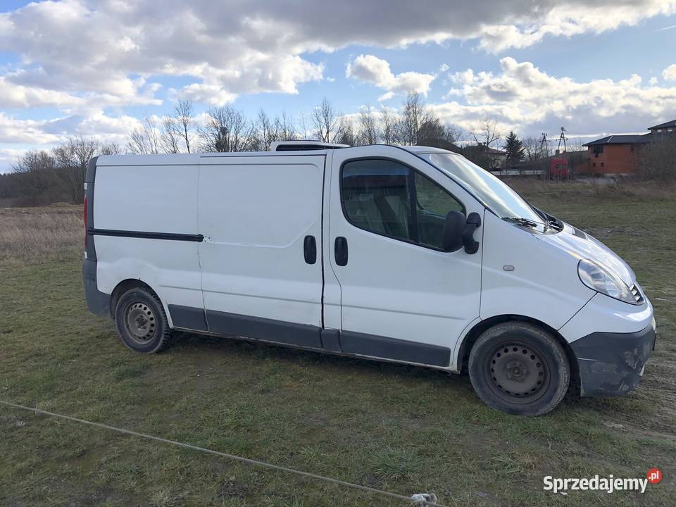 Renault traffic opel vivaro chłodnie 3 Gdynia
