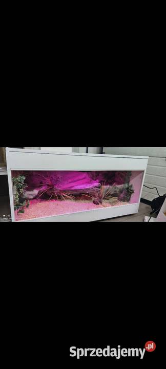 Okazja terrarium agamy gekona żółwia węża