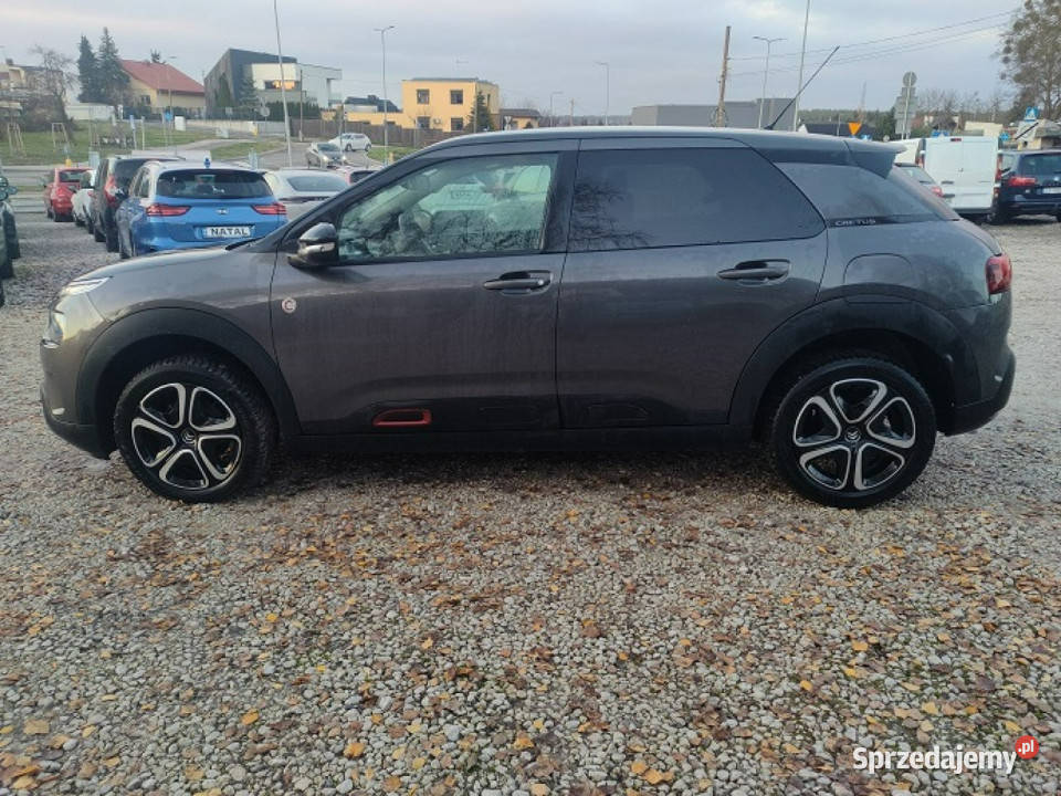 Citroen C4 Cactus Super Stan Mały Przebieg światła do jazdy dziennej Bydgoszcz sprzedam