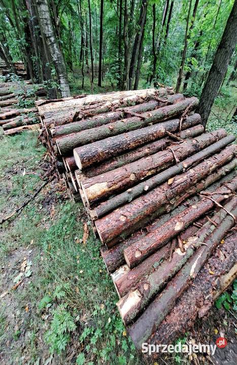 drewno opałowe Starogard Gdański