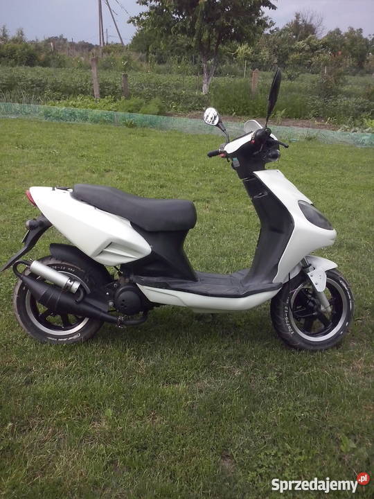 Longjia alien zipp jazzy Pasłęk sprzedam