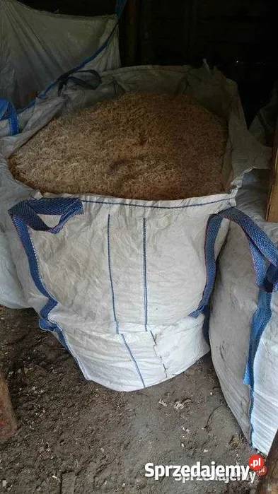 Suche Trociny wióry ściółka suche koni gryzoni Dla gryzoni Łódź