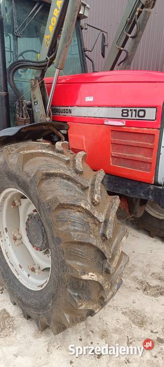 Ciągnik Massey Ferguson 8110 Massey Ferguson Poświętne