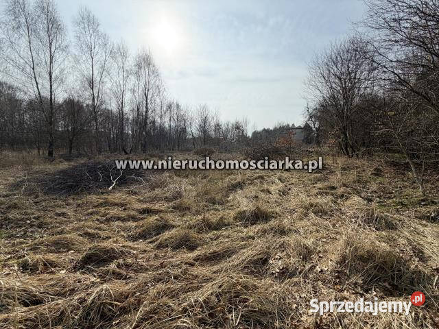 Działka Wodzisław Śląski 1353m2 prąd śląskie