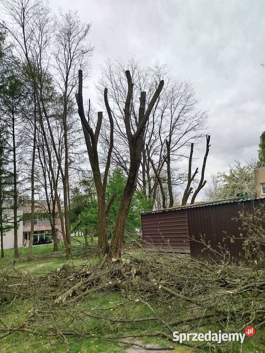Mycie elewacji malowanie zwyżka usługi Ścinka lubelskie Zamość