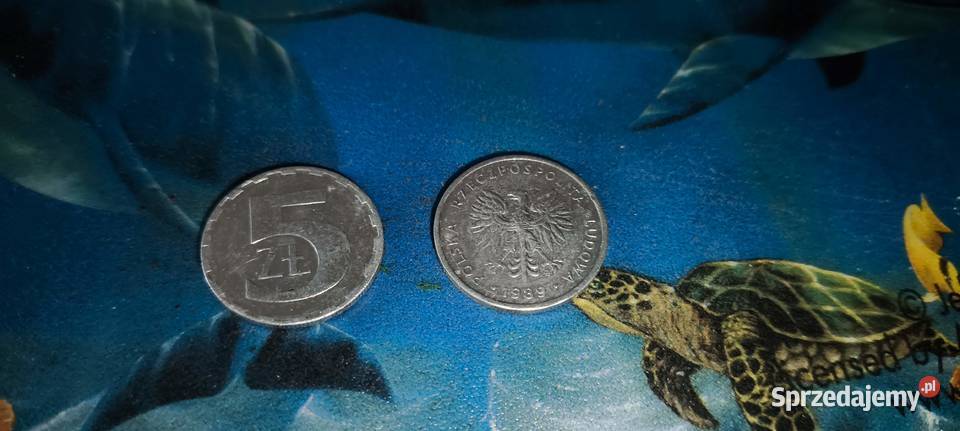 Monety PRL 5 1989 r Gliwice