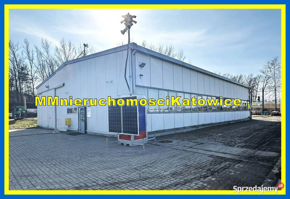 Hala wolnostojąca do wynajęcia Mysłowice plac śląskie