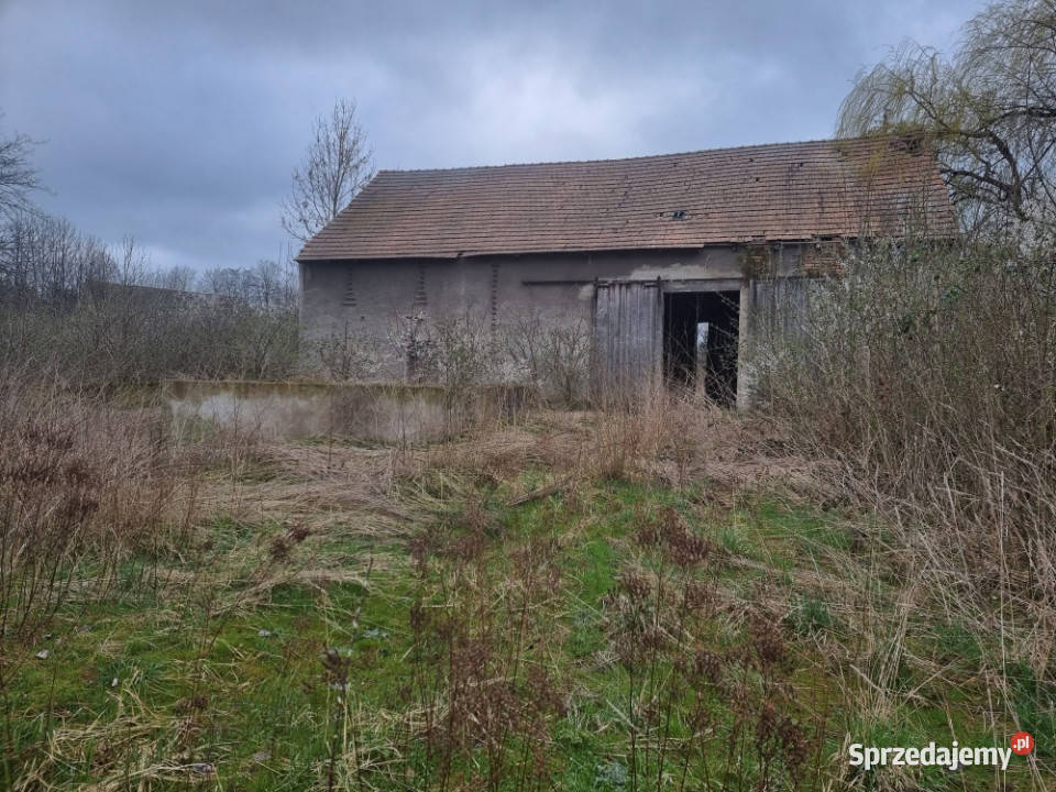 Działka siedliskowa 4200m2 we wsi Niedźwiednik siedliskowa dolnośląskie