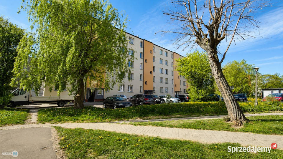 Ogłoszenie mieszkanie 50m2 2 pok 50m2 świętokrzyskie Skarżysko-Kamienna