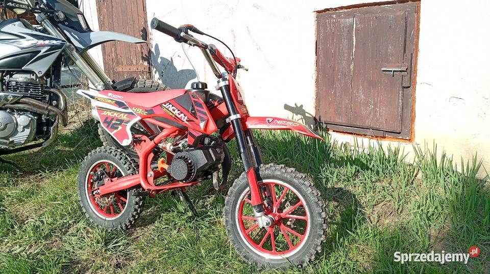 Pocket Cross Jackal nitro 50cc Stróże