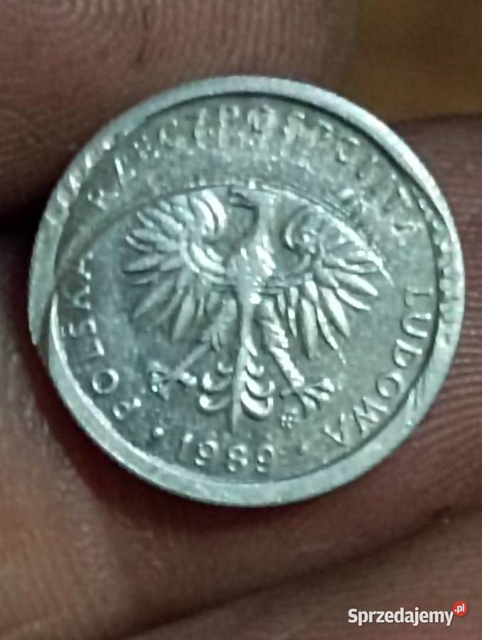 Sprzedam monte 1 zloty 1989 dwsteukt Chełm