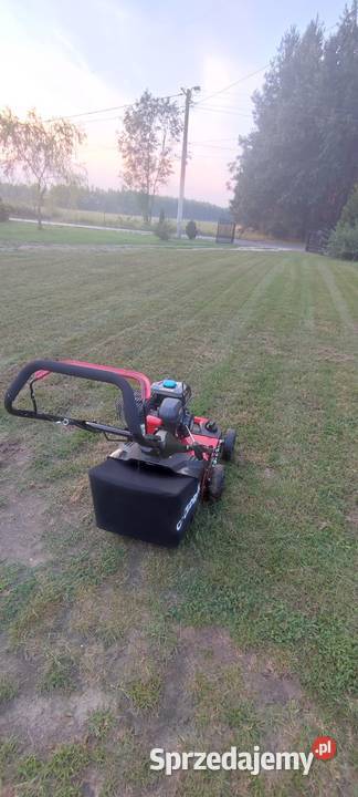 Wertykulator aerator wynajem Wierzchowiny sprzedam