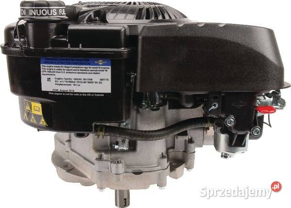 Silnik wał pionowy 50 750 EX jednocylindrowy Kamionna