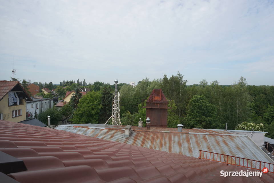 pod administrację I 4 pomieszczenia I parking sieć komputerowa
