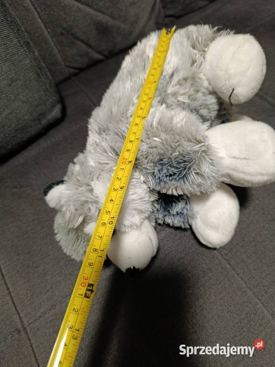 pluszowa poduszka w kształcie psa husky marki Poznań