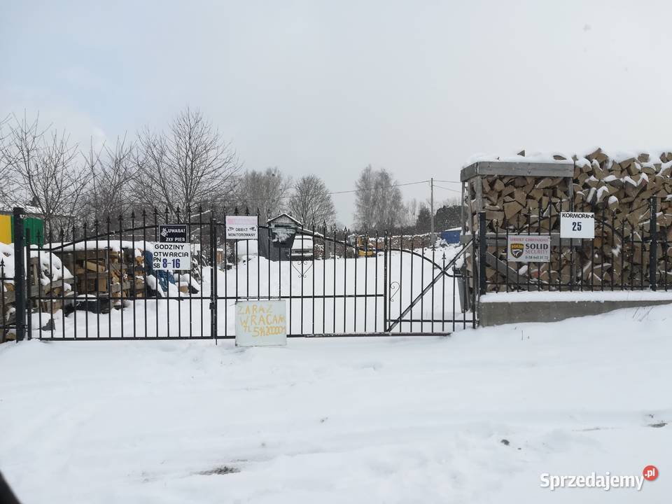 Brykiet drzewny fuf Jakości gdynia