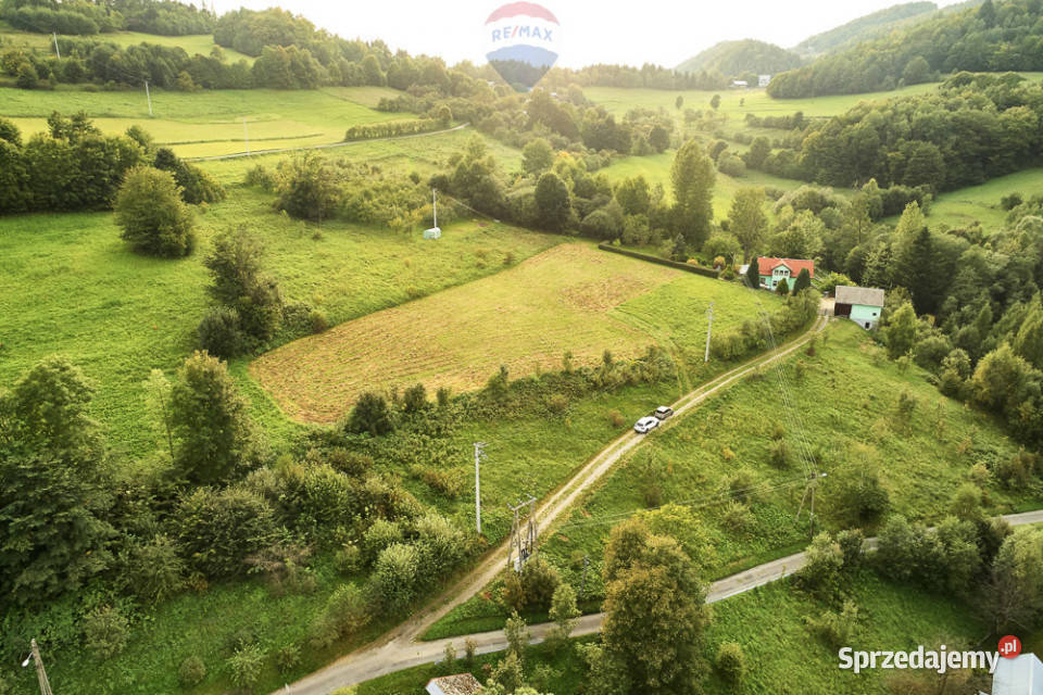 Działka budowlana 43 ary Ochotnica Dolna
