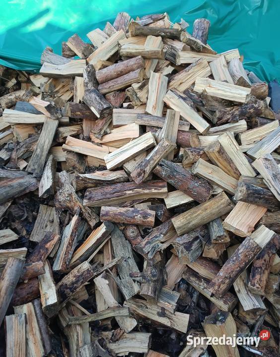 Drewno opałowe 160zl Opał Iłża