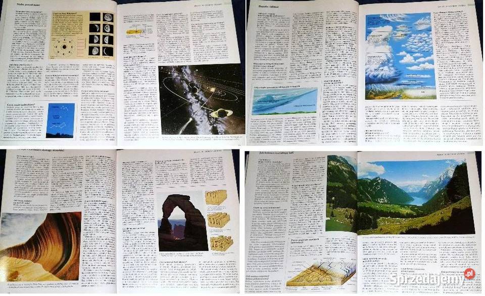 ABC przyrody w pytaniach i odpowiedziach Readers Pozostałe Chełm