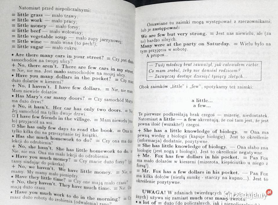 Angielska gramatyka na wesoło Walt Waren Chełm