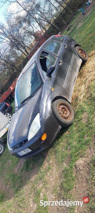 Ford Focus Gorzów Śląski