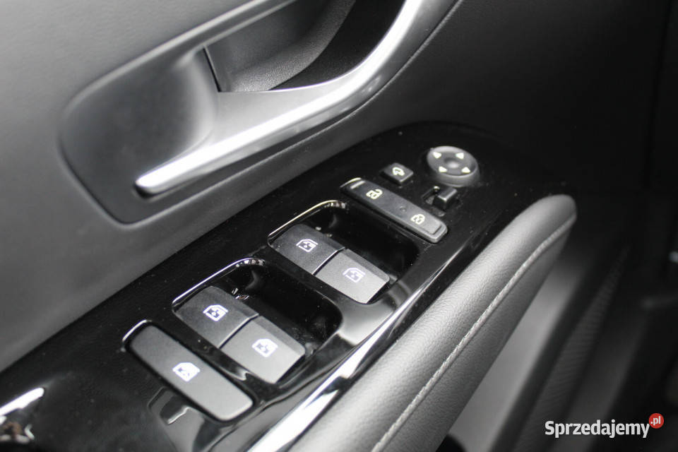 Salon Polska HEV 4WD Faktura VAT 23 Platinum wielkopolskie Kalisz sprzedam