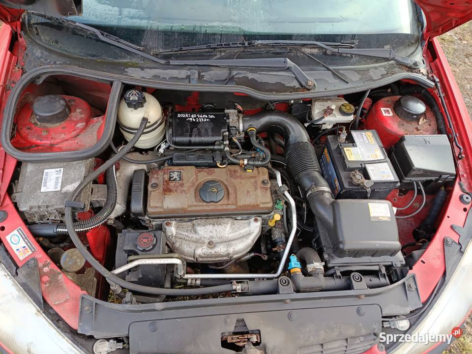 Peugeot 206 11 2000 r dawca części Szklarka Myślniewska