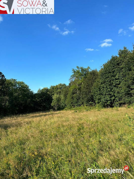 Piękne działki budowlane przełęczy Kowarskiej dolnośląskie Leszczyniec