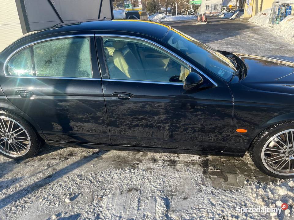 Jaguar stype Zamość