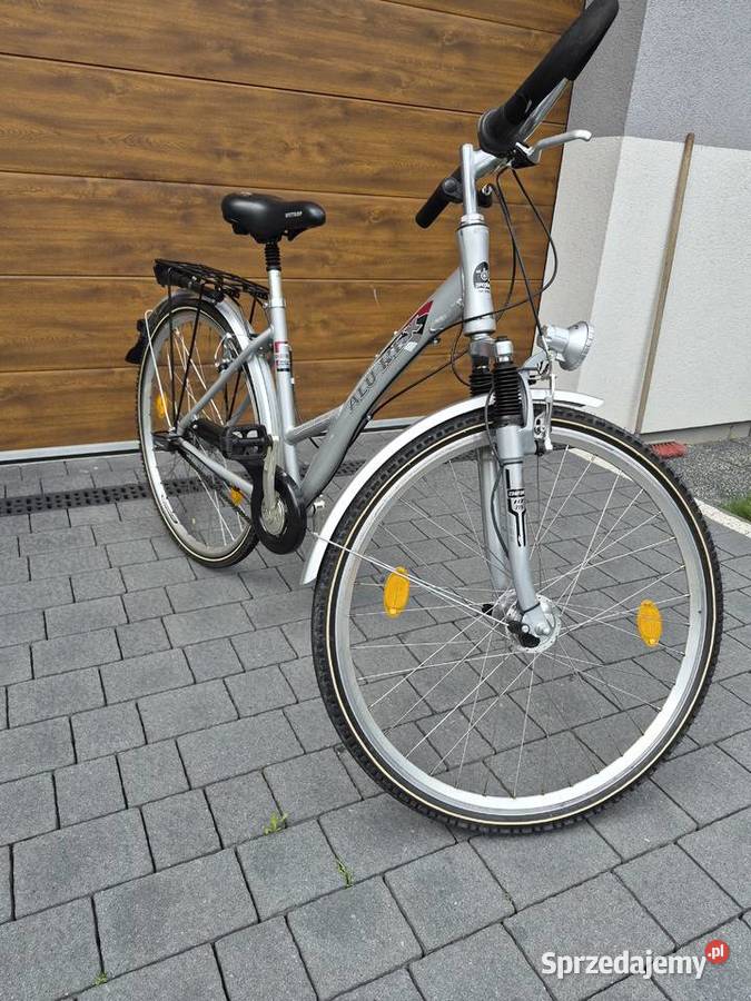 Rower Alu Rex