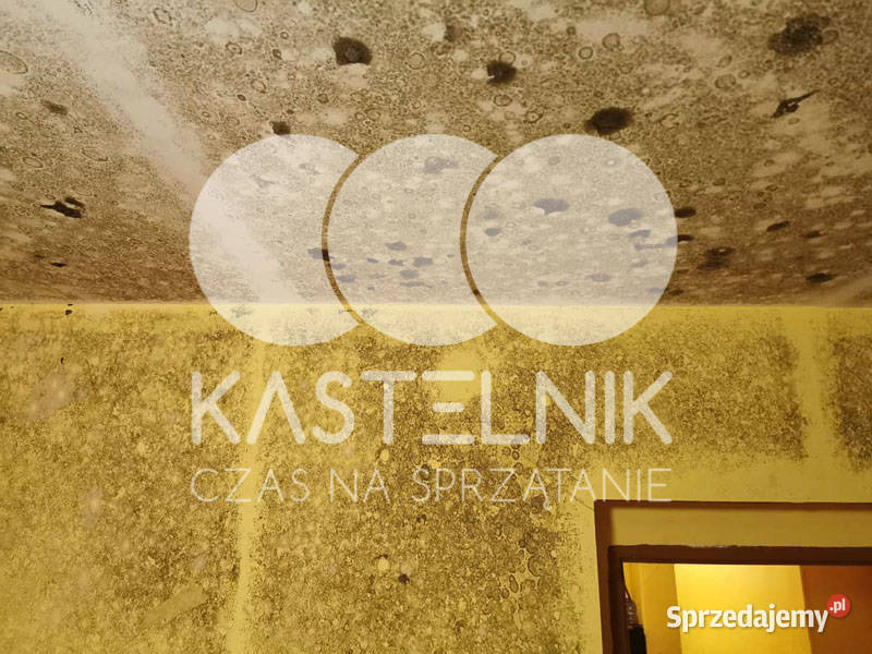 Odgrzybianie ścian Przemków Kastelnik Usuwanie