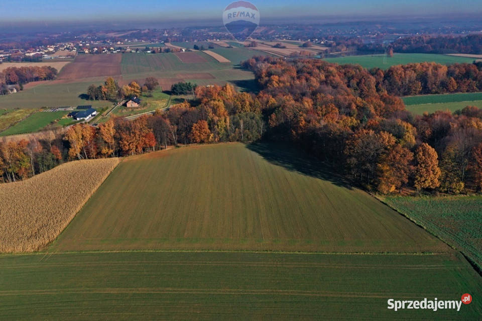Działka rolna Witkowice 0m sprzedam
