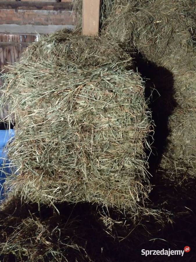 Siano w kostkach Dankowice Pierwsze