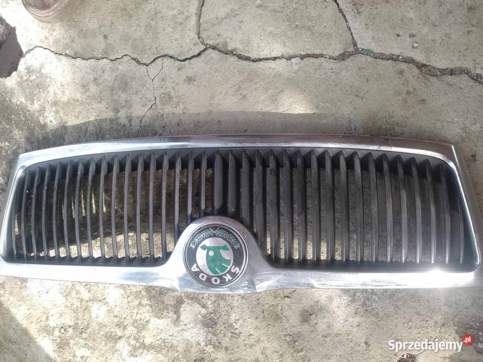 Gril Atrapa koda Ślesin