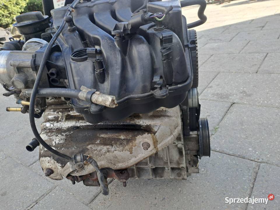 Audi Seat Skoda Volkswagen 16 8V 102 silnik kod Jastrzębie-Zdrój
