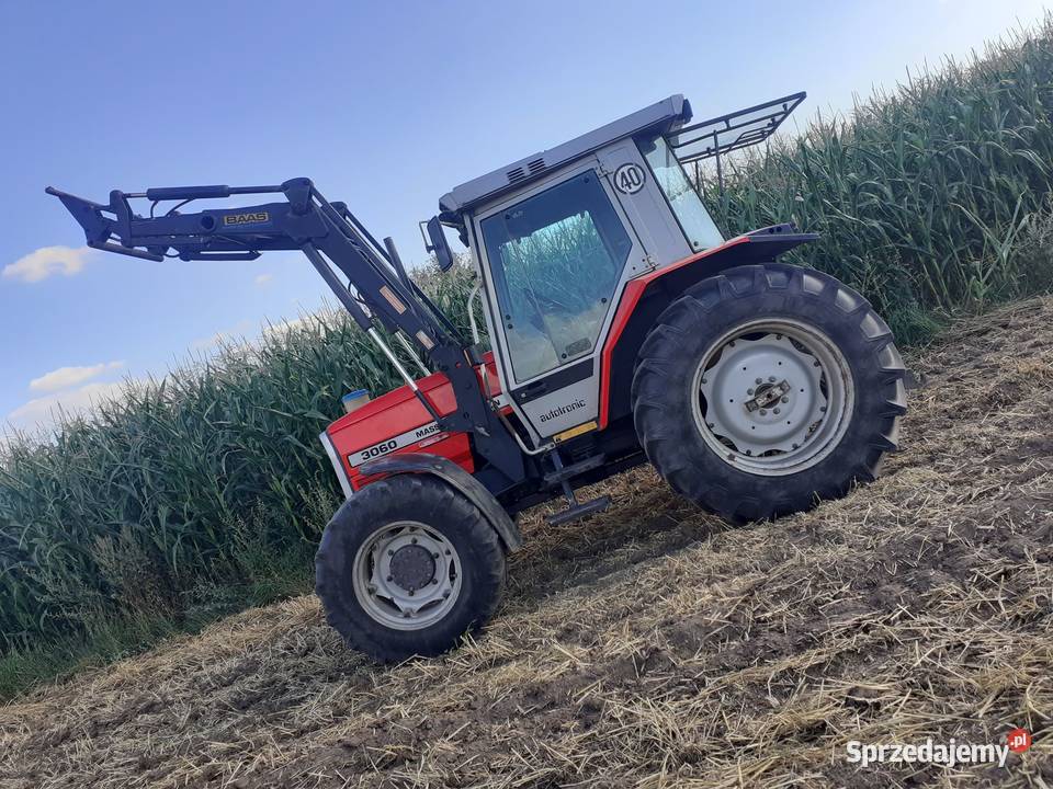 Massey Ferguson 3060 Stefanowo