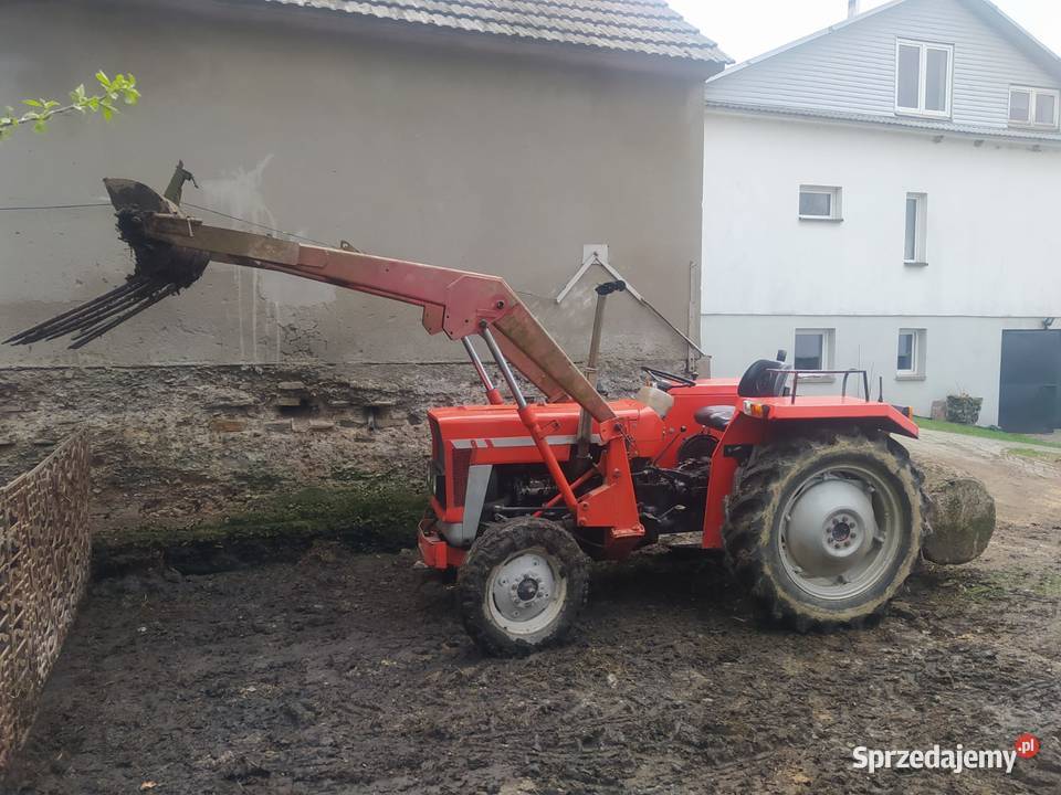 Massey Ferguson 133 podkarpackie Gumniska